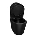 Унитаз подвесной IDDIS Calipso CALR3BMi25 c сиденьем микролифт, черный CALR3BMi25 - фото 14491