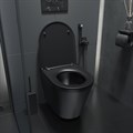 Унитаз подвесной IDDIS Calipso CALR3BMi25 c сиденьем микролифт, черный CALR3BMi25 - фото 14492