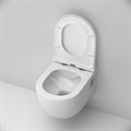 Am.Pm C801701SC Like Подвесной унитаз FlashClean с сиденьем микролифт C801701SC