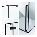 Душевое ограждение IDDIS Slide SLI6BS2i23 черный 120x90x195 мм SLI6BS2i23