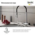 Смеситель для кухни Iddis Ace ACESBFFi05 с каналом для фильтрованной воды, хром ACESBFFi05 - фото 29333