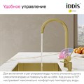 IDDIS Pure PURMGFJi05 Смеситель для кухни с каналом для фильтрованной воды, матовое золото PURMGFJi05