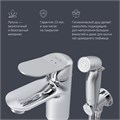 Am.Pm Sunny BD F85C03000 Смеситель для умывальника с гигиеническим душем, хром. F85C03000