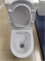 Azario Мист AZ-45 Унитаз-компакт 385х610х800 напольный, безободковый, с быстросъемным сиденьем микролифт. AZ-45